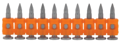 Afbeelding - 155807-jpg